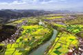 漢中油菜花節(jié)各縣區(qū)觀花線路公布！縮略圖