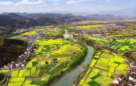 漢中油菜花節(jié)各縣區(qū)觀花線路公布！縮略圖