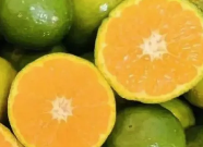 疫情防控期間如何儲存食物？這兩種水果不宜冰箱冷藏縮略圖