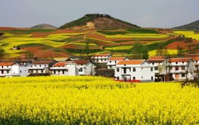 關(guān)于做好2022年全面推進(jìn)鄉(xiāng)村振興重點(diǎn)工作的實(shí)施意見縮略圖 關(guān)于做好2022年全面推進(jìn)鄉(xiāng)村振興重點(diǎn)工作的實(shí)施意見縮略圖