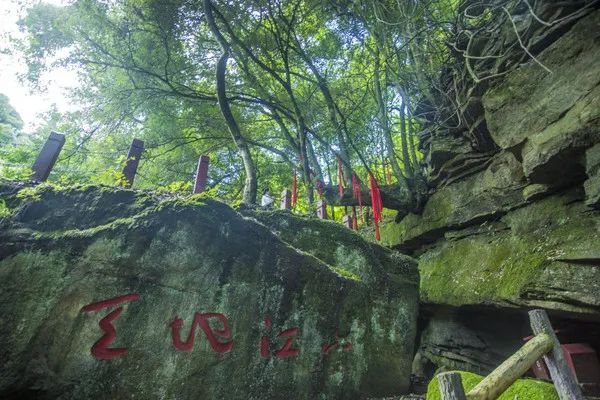 @寧強人，漢江源景區(qū)年卡福利來啦！！插圖15