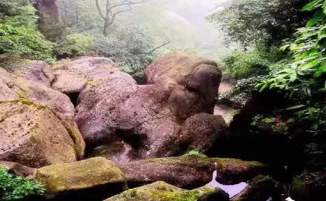@寧強人，漢江源景區(qū)年卡福利來啦??！插圖16