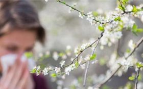 春天如何避開(kāi) 花粉過(guò)敏縮略圖