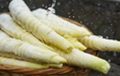 春天就要吃筍！這些選購(gòu)和食用訣竅快來(lái)學(xué)一學(xué)縮略圖