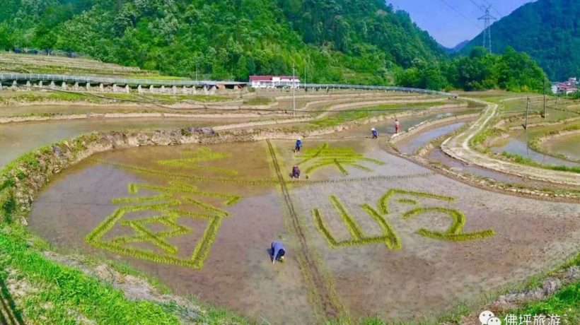 佛坪這些地方，讓你的春游不再單調(diào)！插圖17