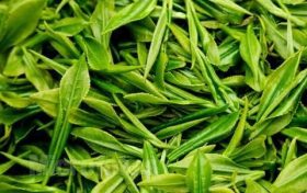 為什么說喝春茶沒必要“洗茶”？縮略圖