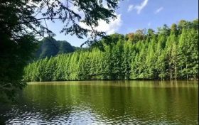 火爆出圈的漢中出游“頂流”，您最鐘意哪一處？縮略圖