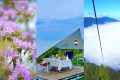 賞花、觀云、露營(yíng)……這才是夏天的正確打開方式！縮略圖