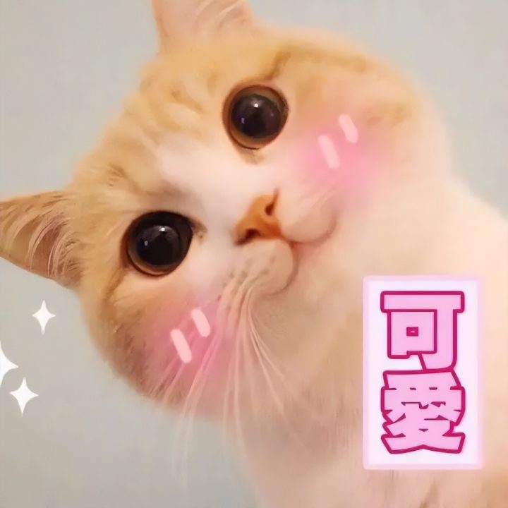 626eb70329bb485894c7848f34f63ea3 626eb70329bb485894c7848f34f63ea3
