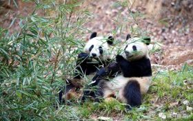“近郊鄉(xiāng)村游”缺線路？馬上安排！縮略圖