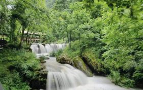 “5·12”國際護(hù)士節(jié)，免費(fèi)入園！縮略圖