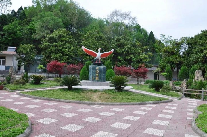 dfa313a75c714c04b9c7b2476db6abfe dfa313a75c714c04b9c7b2476db6abfe