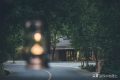 闖進(jìn)留壩秘境森林，過22℃的夏天縮略圖