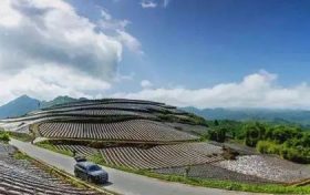 在南鄭，這條“紅色交通線”串起川陜鄉(xiāng)親美好新生活縮略圖