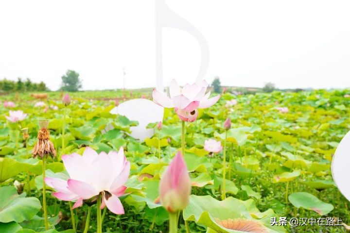 40b30a2b88fb4059ac2610c41f5a2fe6 40b30a2b88fb4059ac2610c41f5a2fe6