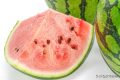 一口8400個細(xì)菌？你是合格的夏日“吃瓜群眾”嗎？縮略圖