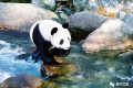 全國首家！開工！縮略圖