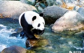 全國首家！開工！縮略圖