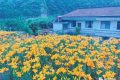 文旅行業(yè)新添兩個(gè)“新職業(yè)”！縮略圖