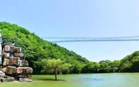 祝賀！漢中這幾個(gè)縣被省政府通報(bào)表彰縮略圖
