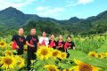 漢中新晉“網(wǎng)紅”向日葵花海，等你來(lái)打卡！縮略圖