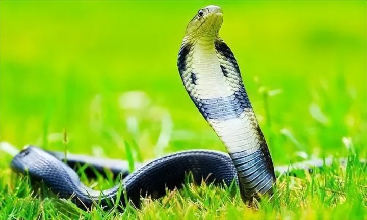 2d0066316c314f1196067ef452af3130 2d0066316c314f1196067ef452af3130