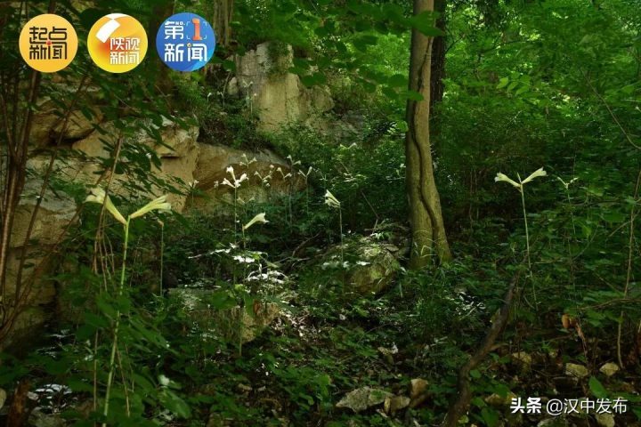 6c8dbf63a9e1487d915e143cf21c27c0 6c8dbf63a9e1487d915e143cf21c27c0