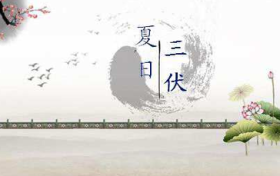 三伏天怎么吃，一次給您說明白縮略圖