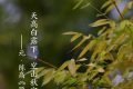 今日白露，勿忘添衣縮略圖