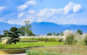 期待值拉滿！漢臺秋天的十種浪漫打開方式→縮略圖