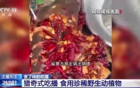流量至上催生獵奇式吃播 多管齊下如何剎住“吃奇”之風(fēng)？縮略圖