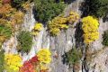 “霜降”來 陜西大部也迎來降水過程縮略圖