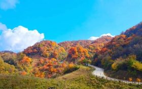 看紅葉 · 過(guò)羌年，免費(fèi)游漢江源縮略圖