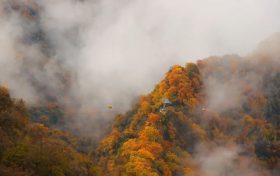 霜降 | 天上寒霜降，人間秋色深縮略圖