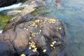 未來(lái)三天陜西降水、吹風(fēng)持續(xù) 清晨易出現(xiàn)大霧縮略圖