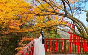 令人陶醉，心之向往！邂逅漢江源秋日調(diào)色盤(pán)縮略圖