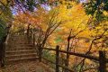 邂逅漢中這里，綿延山脈極致色彩等你來欣賞縮略圖