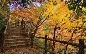 邂逅漢中這里，綿延山脈極致色彩等你來欣賞縮略圖