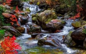花開千樹“層林盡染”，佛坪秋景大賞~縮略圖