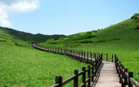 來留壩，我“氧”你！ 紫柏山負(fù)氧離子含量超國(guó)際標(biāo)準(zhǔn)13倍縮略圖