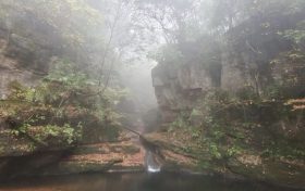 仙霧繚繞，邂逅一場浪漫之旅！縮略圖