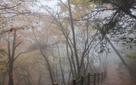 仙霧繚繞，如夢如幻！縮略圖