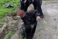 一張購(gòu)物小票，找到走失老人的回家路縮略圖
