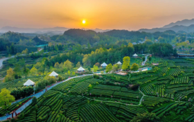 喜報！漢中市3縣獲第六批國家生態(tài)文明建設(shè)示范區(qū)和“兩山”基地命名！縮略圖