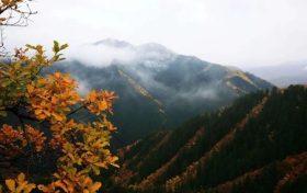 正當(dāng)時(shí)，邂逅青木川的初冬縮略圖