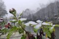 2022年西鄉(xiāng)駱家壩第一場雪！縮略圖
