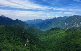 朱鹮、秦嶺石蝴蝶珍稀瀕危物種保護(hù)入選2022年生物多樣性保護(hù)優(yōu)秀案例縮略圖