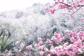 2022年十大流行語發(fā)布 你最熟悉的是哪個？縮略圖