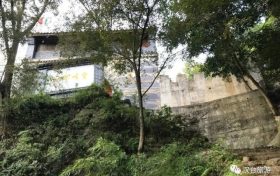 “陽(yáng)”了后你還在“咳咳咳”嗎？縮略圖