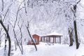 相約漢江源，共赴冰雪世界縮略圖